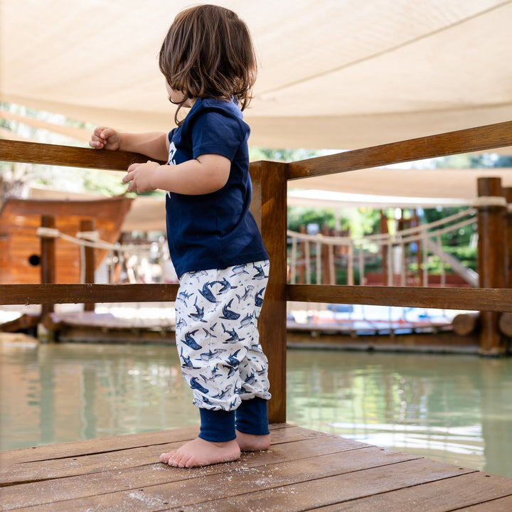 Child standing on a wooden dock by a body of water, holding onto a railing.