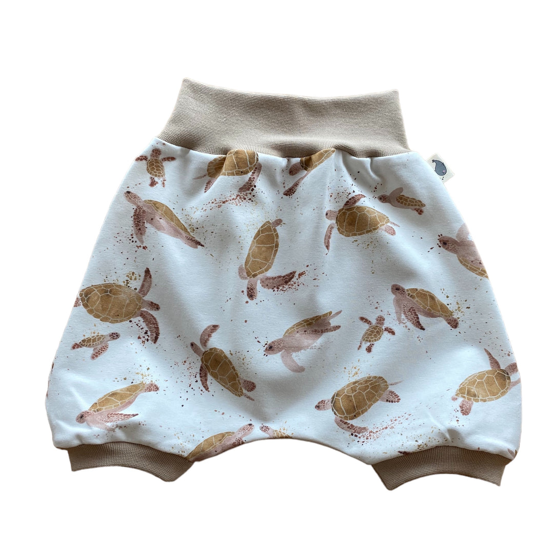 Turtles Brown